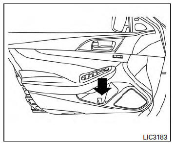 Nissan Maxima. Bottle holder - front