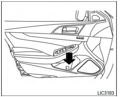 Nissan Maxima. Bottle holder - front