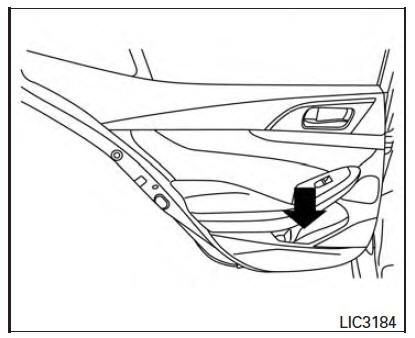 Nissan Maxima. Bottle holder - rear