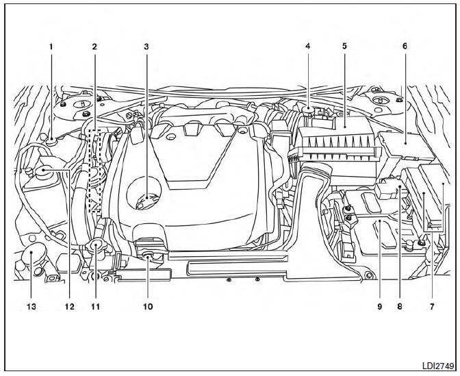 Nissan Maxima. Engine compartment check locations