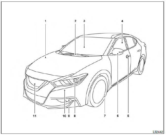 Nissan Maxima. Exterior front 