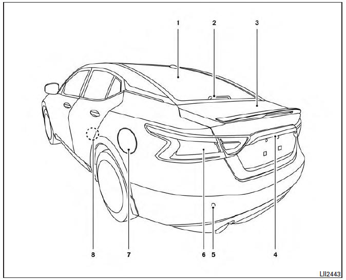 Nissan Maxima. Exterior rear