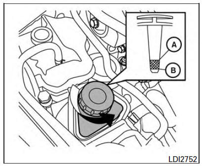 Nissan Maxima. Power steering fluid