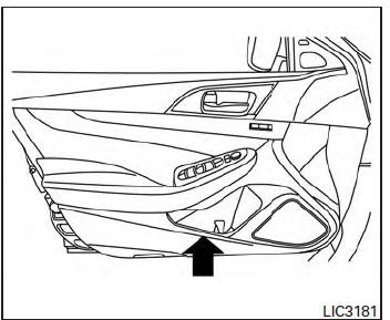 Nissan Maxima. Map pockets 