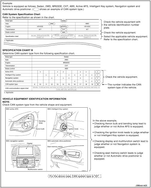 Maxima Bulb Chart