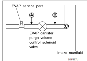 Nissan Maxima. CHECK EVAP PURGE HOSE AND PURGE PORT