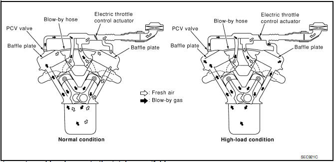 Nissan Maxima. Description